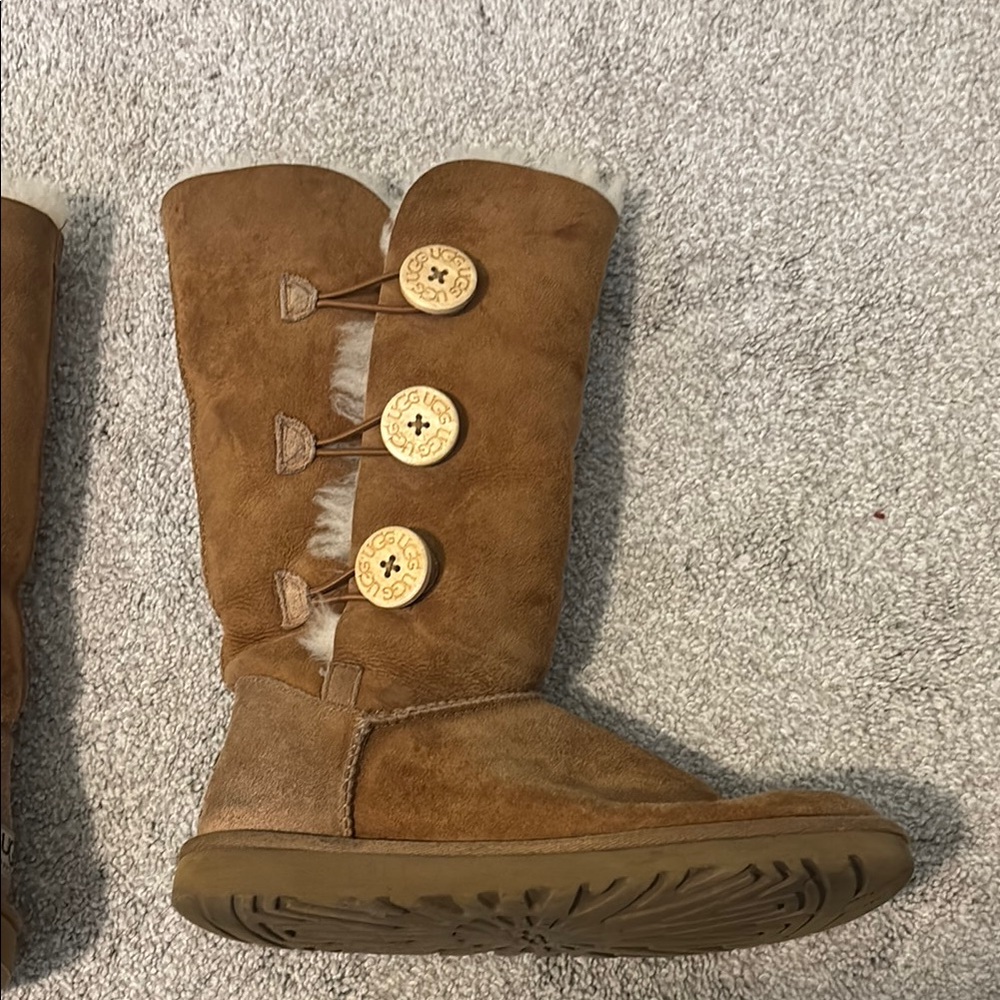 Uggs chestnut